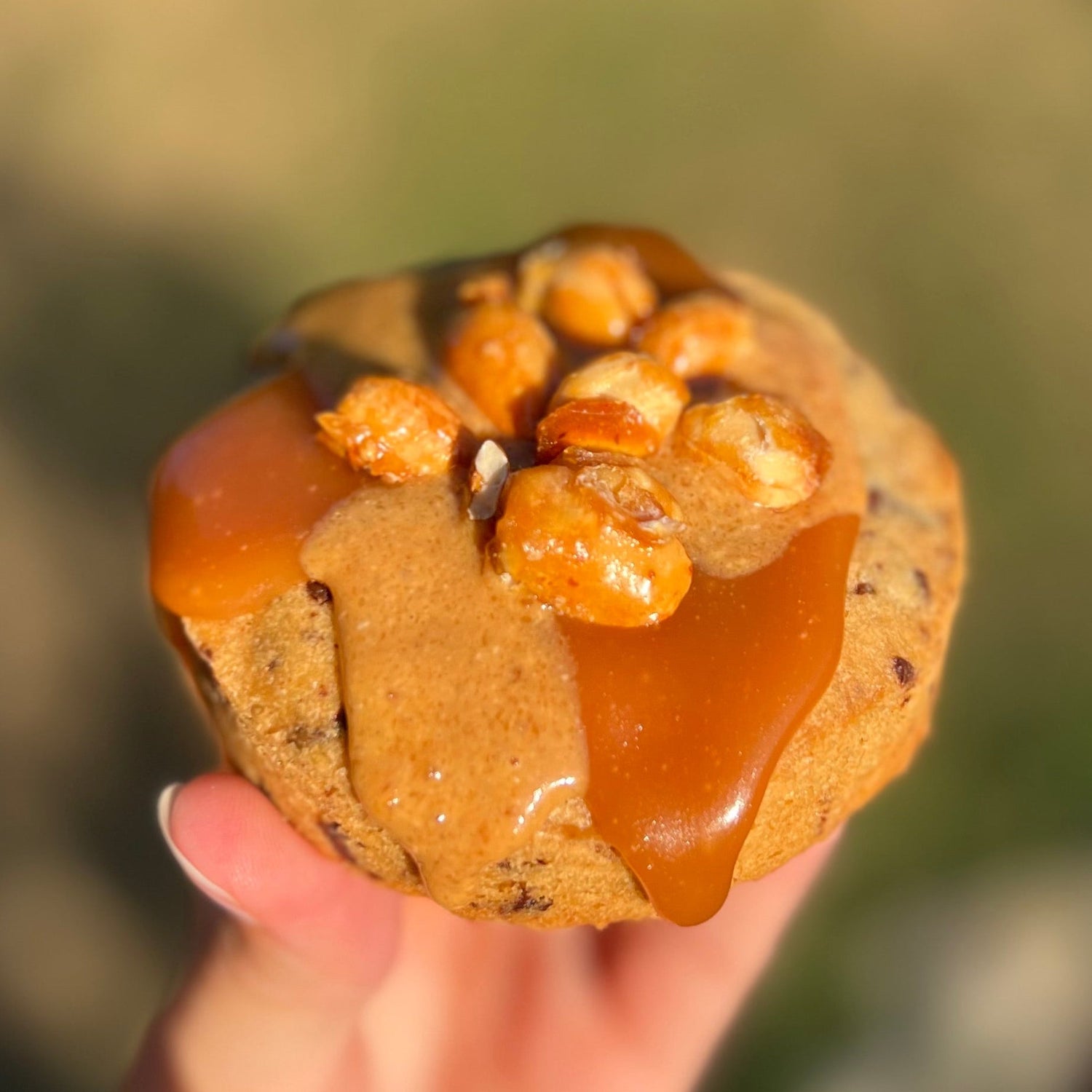 BISCUITERIE